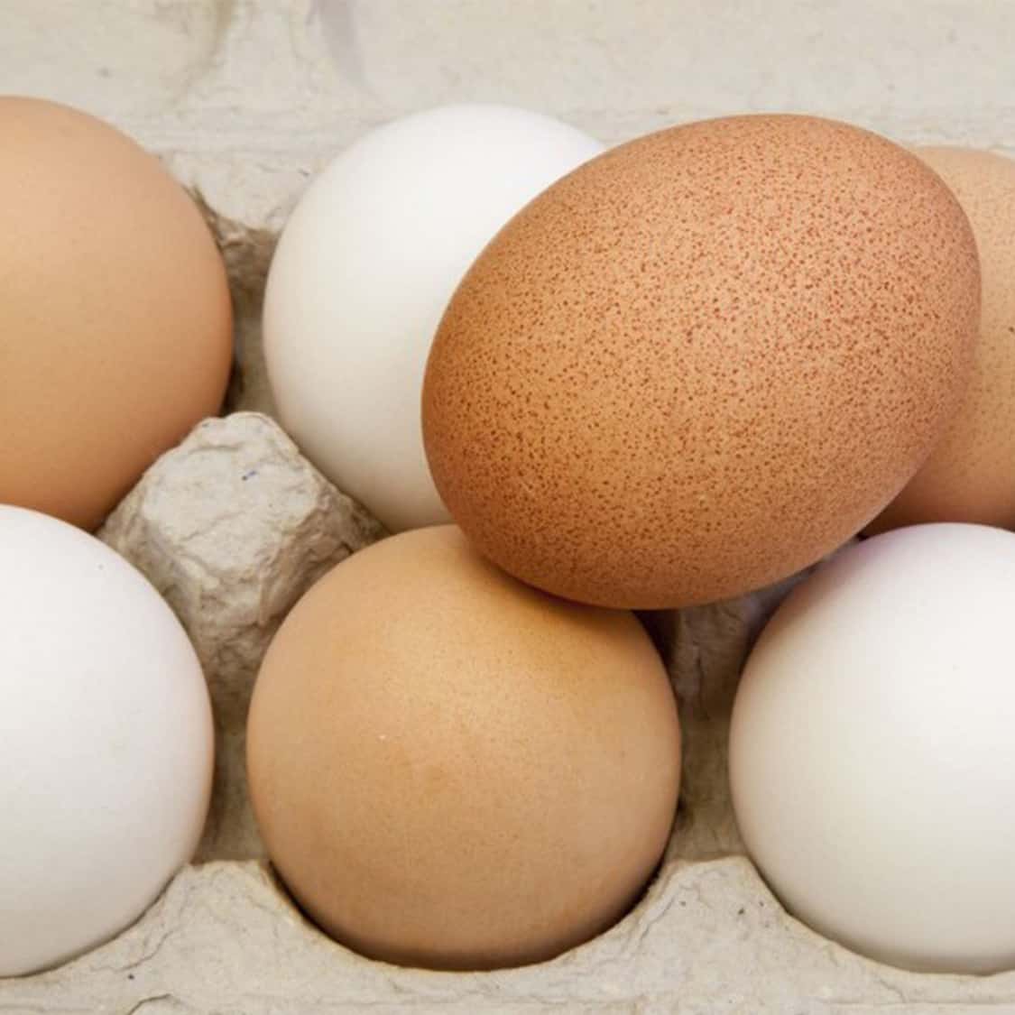 brown and white eggs