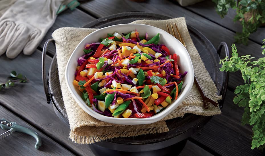 Topiary's Colorful Slaw Salad