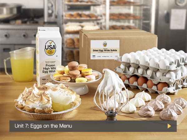 screenshot of online egg science curriculum