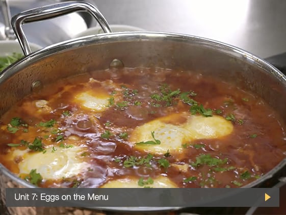screenshot of online egg functionality curriculum