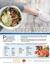 Protein & Performance PDF cover