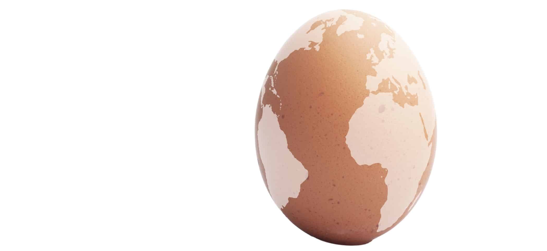 a globe in the shape of an egg