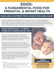 Eggs: A Fundamental Food For Prenatal & Infant Health PDF cover