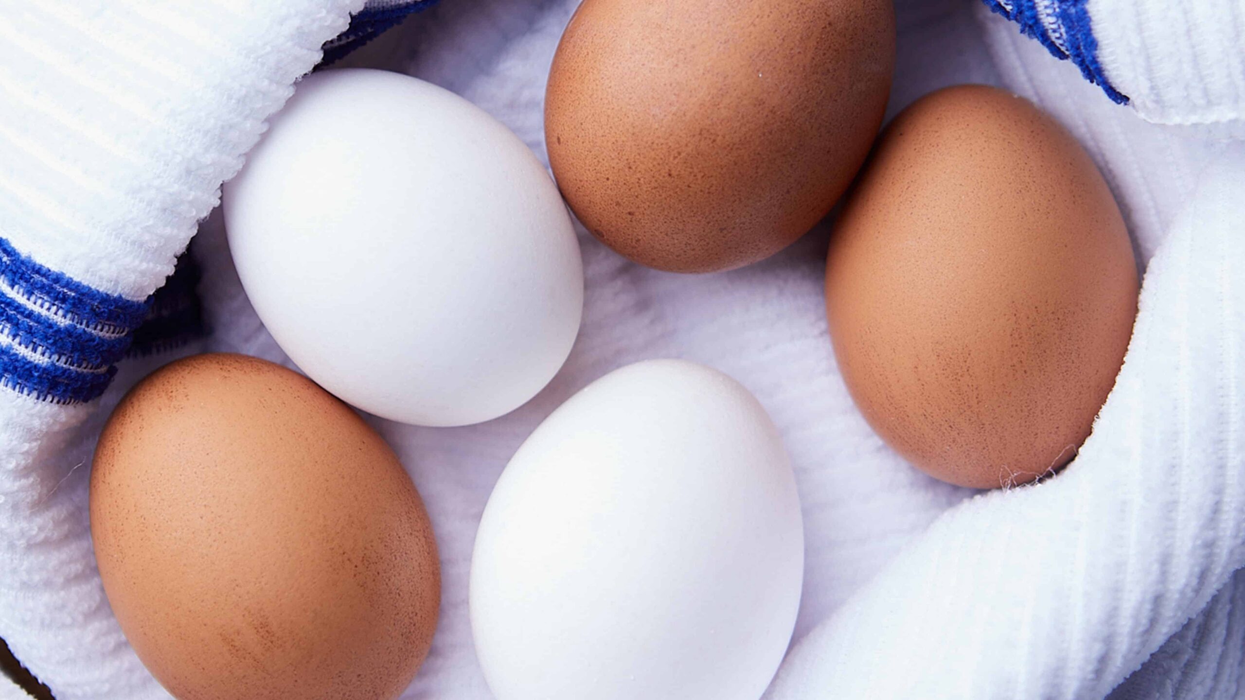 brown and white eggs in a towel