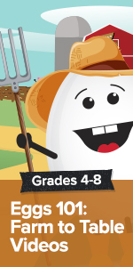 Grades 4-8: Eggs 101: Farm to Table Videos