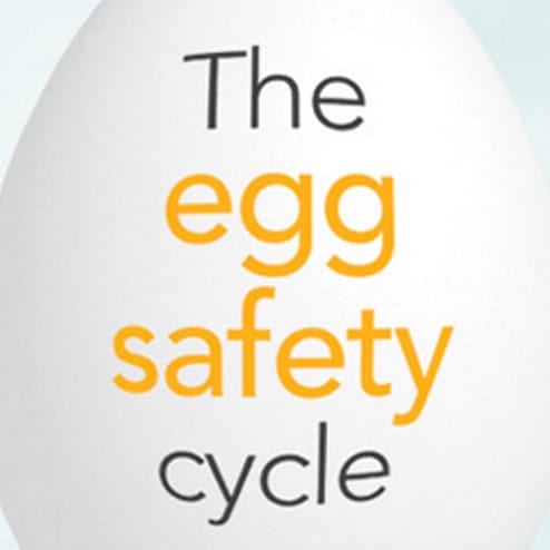 The egg safety cycle