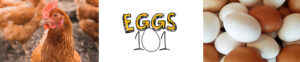 Eggs 101 Videos American Egg Board
