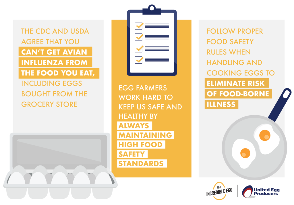 Food Safety infographic