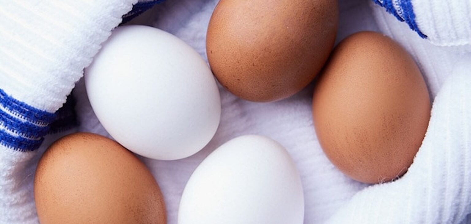 The Value of Eggs American Egg Board