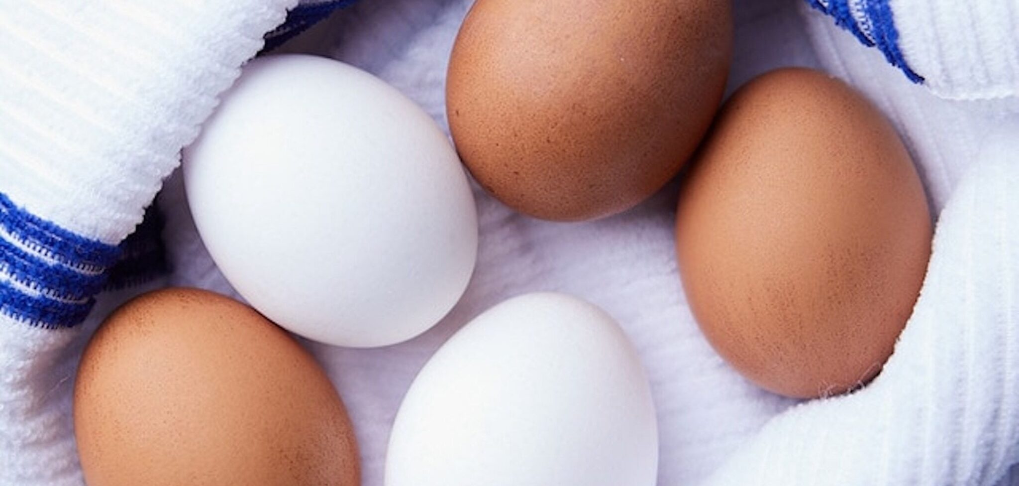 The Value of Eggs American Egg Board