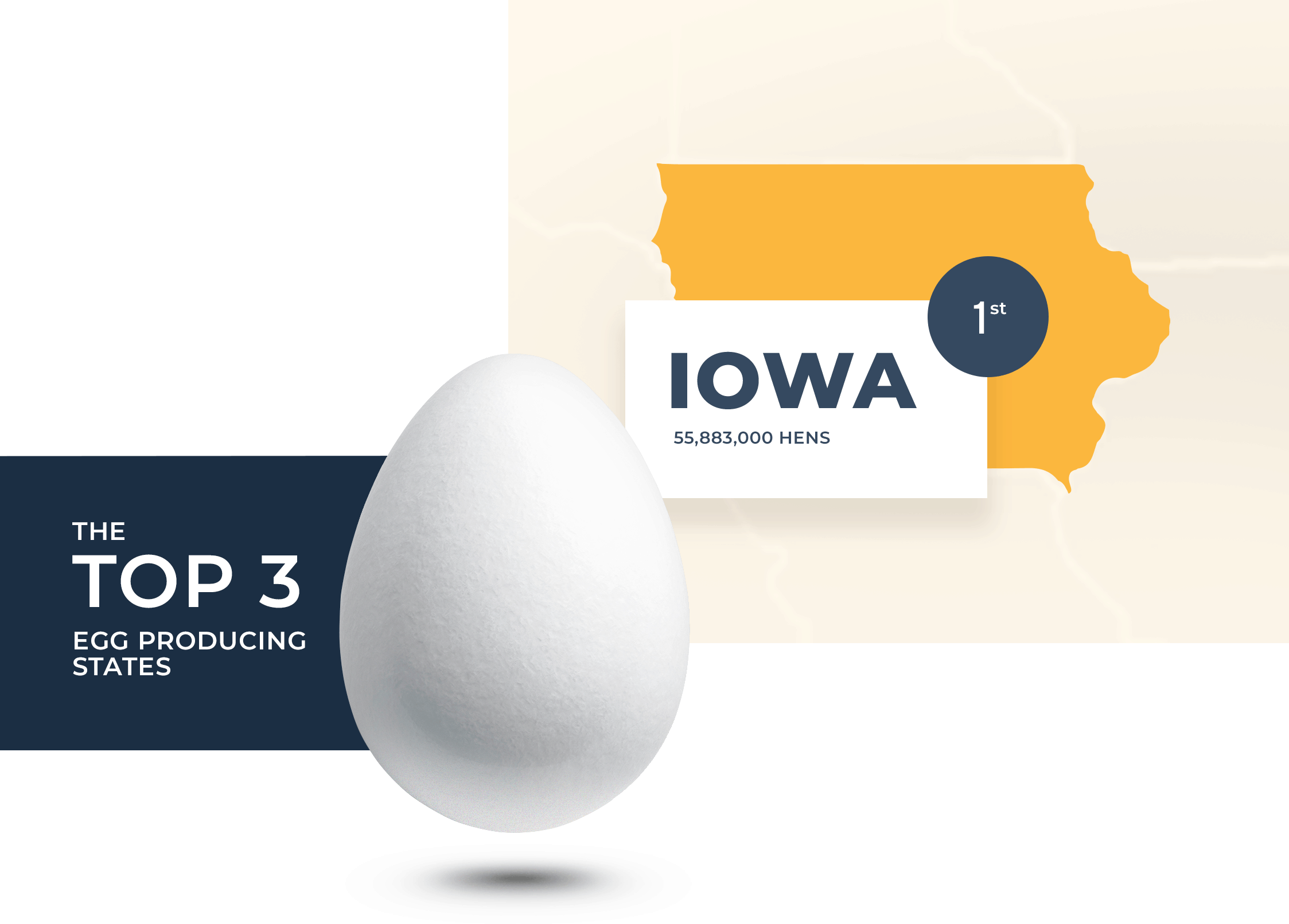 The Top 3 Egg Producing States: Iowa, 1st, 55,883,000 hens