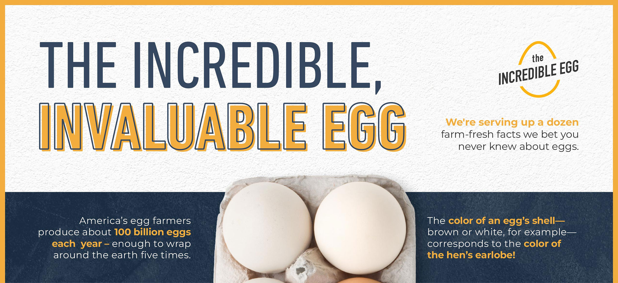 https://www.incredibleegg.org/wp-content/uploads/2023/11/eggfacts_infographic_thumb-big.jpg
