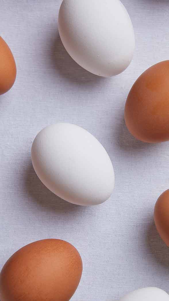 brown and white eggs on a white background