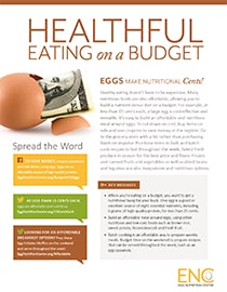 Screenshot of healthy eating on a budget PDF
