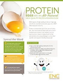 Screenshot of protein PDF
