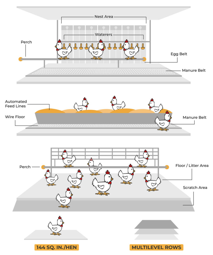 diagram of a conventional egg farm