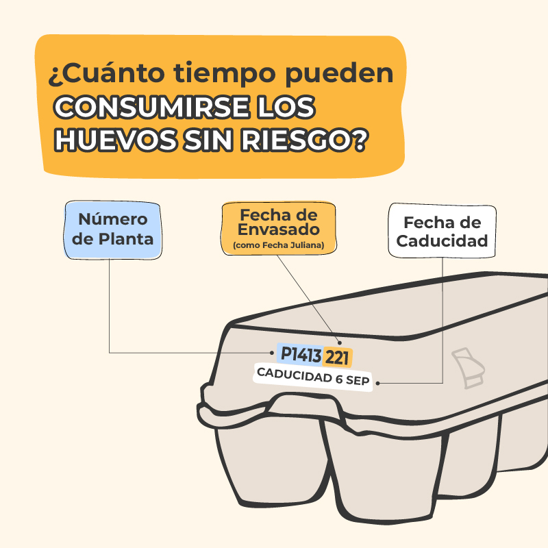 Infografía que explica las fechas que aparecen en los cartones de huevos, incluyendo el número de planta, la fecha de envasado y la fecha de caducidad