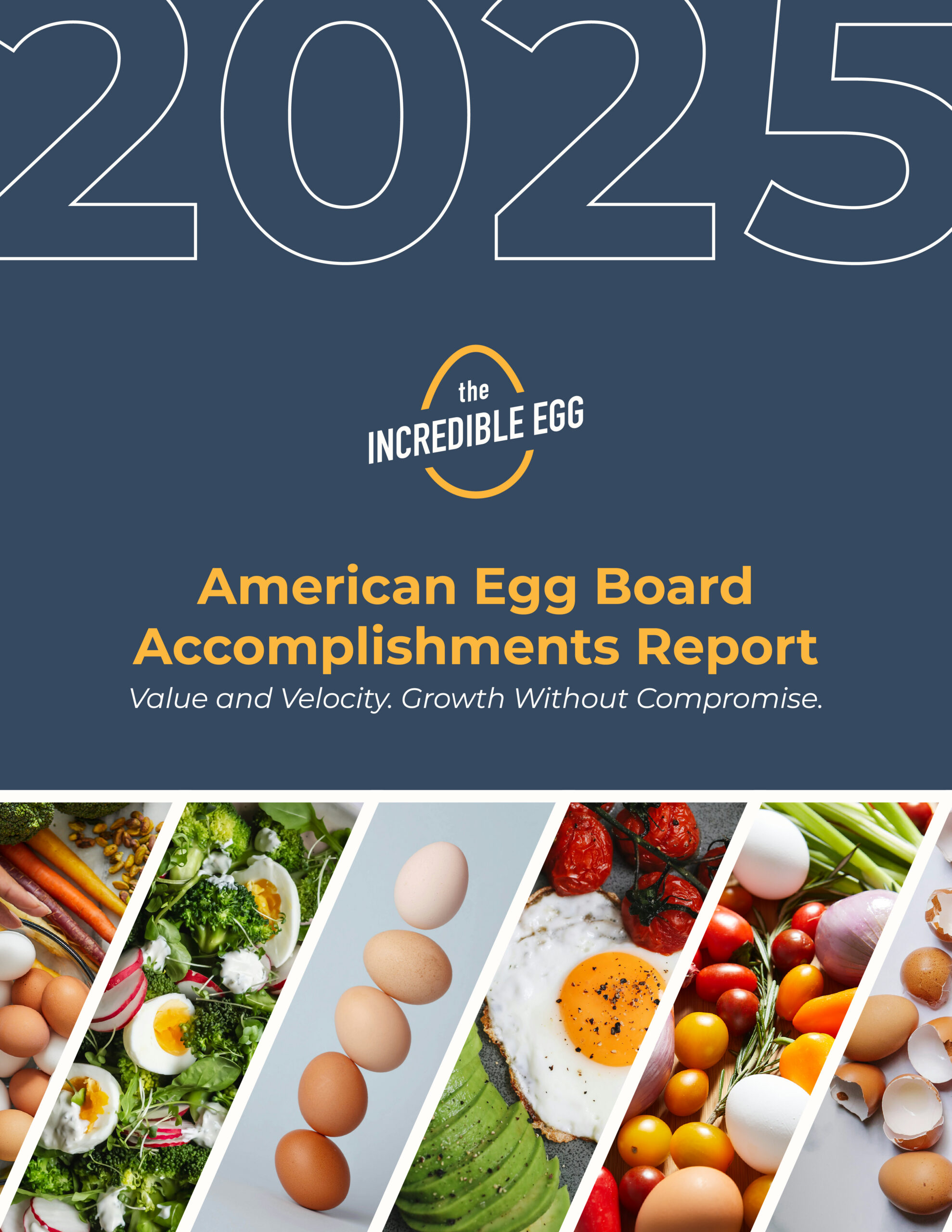 2025 Annual Report Cover